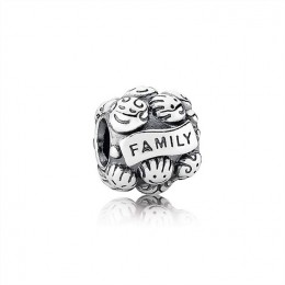 Pandora Love & Family Charm 791039