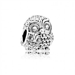 Pandora Charming Owls Charm 791966